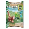 Image de Playmobil 71071 Panda Roux - Wiltopia - Carte d'animaux à Collectionner - Gamme Wiltopia avec Plus de 80% de matériaux recyclés ou biosourcés en Moyenne - Dès 4 Ans