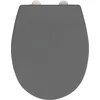Image de WENKO Abattant WC avec Frein de Chute Vorno Neo, abattant WC clipsable Fixation Acier INOX, Duroplastique antibactérien hygiénique et incassable, Surface antibactérienne, 37x46 cm, Gris