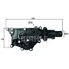 Image de MAHLE Thermostat (liquide de refroidissement) TH5989 Compatible avec: RENAULT CLIO III, CLIO III Grandtour, FLUENCE, GRAND SCÉNIC II, GRAND SCÉNIC III, LAGUNA III, LAGUNA III Grandtour, MEGANE CC
