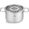 Image de Fissler Collection Pure Faitout En Acier Inoxydable (20 cm, 3,6 l) Avec Couvercle En Verre Et Graduation Intérieure, Compatible Induction, Argenté