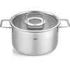 Image de Fissler Collection Pure Faitout En Acier Inoxydable (24 cm, 5,7 l) Avec Couvercle En Verre Et Graduation Intérieure, Compatible Induction, Argenté