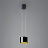 Image de BANKAMP Luce elevata Grand LED Suspension, 1 lampe, 20 cm