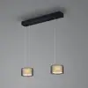 Image de BANKAMP Grand Groove Suspension LED à 2 lampes