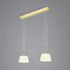 Image de BANKAMP Conus suspension LED, 2 lampes, laiton
