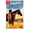 Image de Whisper Ari, La Cavalière Intrépide Nintendo Switch en occasion ou reconditionné