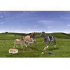 Image de Revell - 27580 - GeeGee Frie - Figurine Cheval - Famille Westfalien