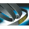 Image de ContiTech 10PK1447 Courroie STRIEE