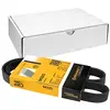 Image de Continental Contitech 5PK925 Courroie trapézoïdale à nervures