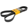 Image de CONTITECH 8PK1770 Courroie Poly-V