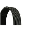 Image de CONTITECH 10PK1487 Courroie Poly-V