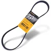 Image de Continental Contitech 6PK1019 ELAST Courroie trapézoïdale à nervures