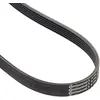 Image de Continental Contitech 6PK1800 Courroie trapézoïdale à nervures