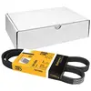Image de Contitech 5PK1080 Courroie Striée