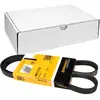 Image de Continental Contitech 4PK1110 Courroie trapézoïdale à nervures