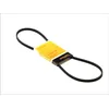 Image de Continental Contitech 3PK703 Courroie trapézoïdale à nervures