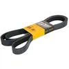 Image de CONTITECH 8PK2546 Courroie Poly-V