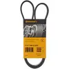 Image de Continental Contitech 6PK1090 ELAST Courroie trapézoïdale à nervures