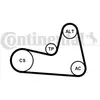 Image de CONTITECH Jeu de courroies trapézoïdales à nervures 6PK1200K2 Poulie de tension compris Poulie de renvoie incl. Compatible avec RENAULT Clio III 3/5 portes BR0/1, CR0/1 Kangoo II Express FW, FW0/1