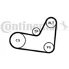 Image de Contitech 6PK1070K2 Kit Courroie Multi V Continental