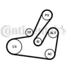 Image de CONTINENTAL CTAM Kit de courroie trapézoïdale à nervures 6PK1795K2