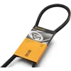 Image de Continental Contitech AVX10X1125 Courroie trapézoïdale