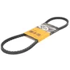 Image de CONTINENTAL CTAM Courroie trapézoïdale 11,9X864Ld