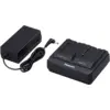Image de Panasonic BRD50 - Batterie pour X1, X1500, X2000, MDH3, BGH1 et BS1H AG-BRD50EC