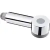 Image de hansgrohe Douchette extractible chromée
