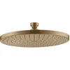 Image de Hansgrohe Axor Starck ShowerSolutions Pommeau de douche à plateau 240 1 jet, Coloris: Bronze brossé