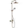 Image de Hansgrohe AXOR Montreux Pipe de douche avec thermostat, pomme de douche 240 1 jet Classic, Coloris: Rouge poli or