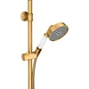 Image de hansgrohe Set de douche Axor Montreux 900 mm, m I, 100 mm, 1 jet, brossé or optique