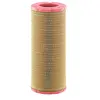 Image de MANN-FILTER C 24 906/2 Filtre à air du moteur Cartouche filtrante