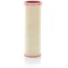 Image de MANN-FILTER CF 16 004 Filtre à air secondaire T343328 GC469601B2B GC469601B2C Compatible avec FORD CARGO II