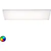 Image de Paul Neuhaus Frameless plafonnier RGBW 60x30 cm