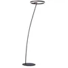 Image de Paul Neuhaus Lampadaire anthracite Titus moderne - 381-13