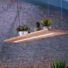 Image de Paul Neuhaus Suspension LED Palma, bois, CCT, intensité variable, 120cm