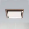 Image de Paul Neuhaus Palma plafonnier LED CCT carré