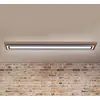 Image de Paul Neuhaus Palma plafonnier LED CCT long
