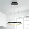 Image de Paul Neuhaus Suspension LED Hoop, noir, Ø 57 cm, intensité variable