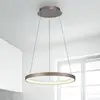 Image de Paul Neuhaus Suspension LED Hoop, marron, Ø 57 cm, intensité variable