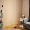 Image de Evotec Lampe sur pied LED Orix fonctionnelle en blanc, 180 cm