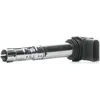 Image de BERU Bobine d'allumage ZSE031 Compatible avec: AUDI A8 D2, A8 D3, BENTLEY CONTINENTAL Cabriolet, CONTINENTAL Coupe, CONTINENTAL FLYING SPUR, FLYING SPUR, VW PASSAT B5.5, PASSAT B5.5 Variant, PHAETON
