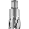 Image de FEIN 63127276010, Fraise carbure Ultra 50 Weldon 3/4", Ø12x50mm, Accessoire Outil de Coupe, pour tous types de supports, Durée de vie maximale et Efficacité Exceptionnelle