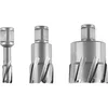 Image de FEIN 63127281010, Fraise carbure Ultra 50 Weldon 3/4", Ø17x50mm, Accessoire Outil de Coupe, pour tous types de supports, Durée de vie maximale et Efficacité Exceptionnelle