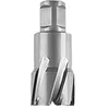 Image de FEIN 63127283010, Fraise carbure Ultra 50 Weldon 3/4", Ø19x50mm, Accessoire Outil de Coupe, pour tous types de supports, Durée de vie maximale et Efficacité Exceptionnelle
