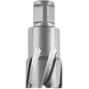 Image de FEIN 63127284010, Fraise carbure Ultra 50 Weldon 3/4", Ø20x50mm, Accessoire Outil de Coupe, pour tous types de supports, Durée de vie maximale et Efficacité Exceptionnelle