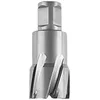 Image de FEIN 63127288010, Fraise carbure Ultra 50 Weldon 3/4", Ø24x50mm, Accessoire Outil de Coupe, pour tous types de supports, Durée de vie maximale et Efficacité Exceptionnelle