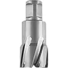 Image de FEIN 63127316010, Fraise carbure Ultra 50 Weldon 3/4", Ø52x50mm, Accessoire Outil de Coupe, pour tous types de supports, Durée de vie maximale et Efficacité Exceptionnelle
