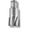 Image de FEIN 63127318010, Fraise carbure Ultra 50 Weldon 3/4", Ø54x50mm, Accessoire Outil de Coupe, pour tous types de supports, Durée de vie maximale et Efficacité Exceptionnelle