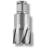 Image de FEIN 63127320010, Fraise carbure Ultra 50 Weldon 3/4", Ø56x50mm, Accessoire Outil de Coupe, pour tous types de supports, Durée de vie maximale et Efficacité Exceptionnelle